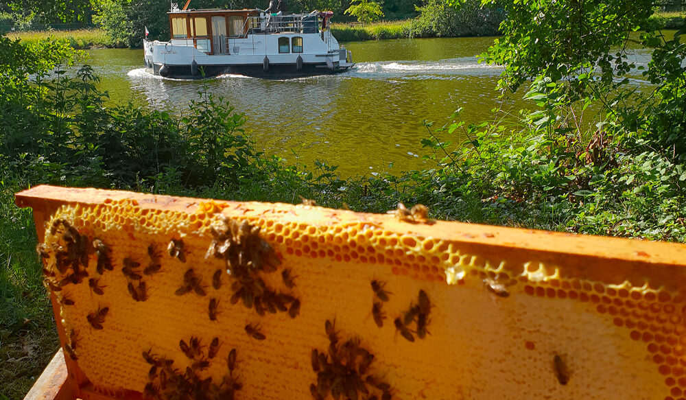 voyage apicole rucher au fil de l'eau