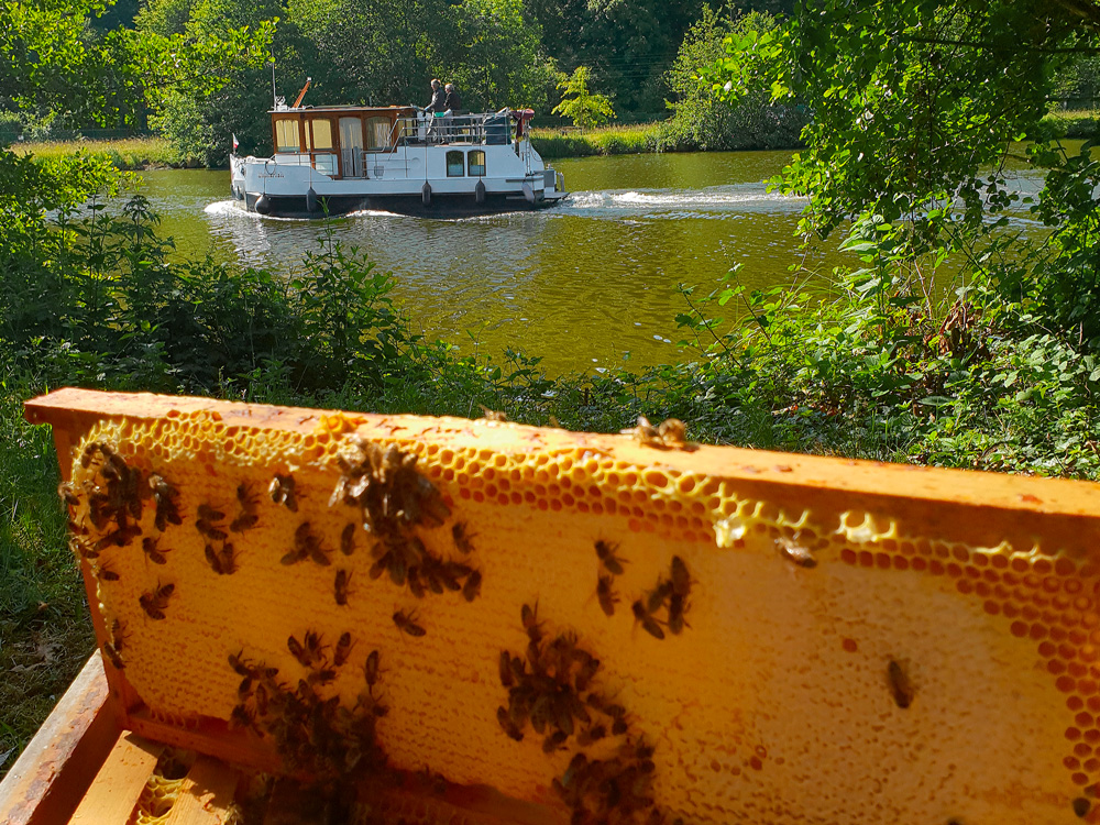 voyage apicole rucher au fil de l'eau
