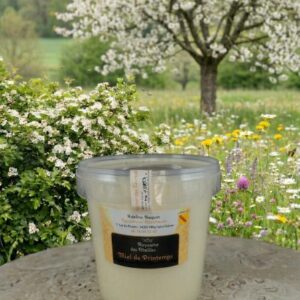 Miel de Printemps Crémeux (Vrac du moment) – Seau de 1,5 kg